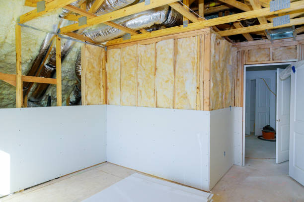Best Insulation Installation Services in Plainville, KS