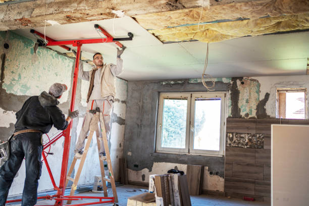 Best Insulation Maintenance and Repair in Plainville, KS
